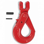      
TOR 5,3  (Q)