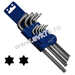 BOVIDIX 5990409  TORX